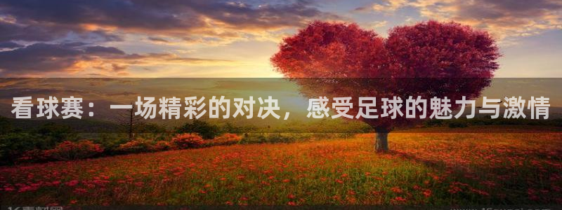 看球赛：一场精彩的对决，感受足球的魅力与激情