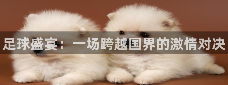 足球盛宴：一场跨越国界的激情对决