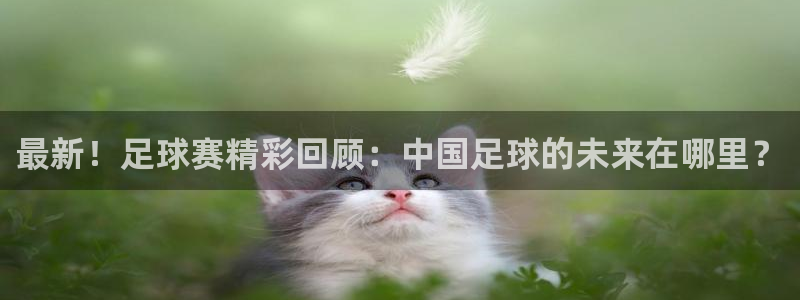 最新！足球赛精彩回顾：中国足球的未来在哪里？