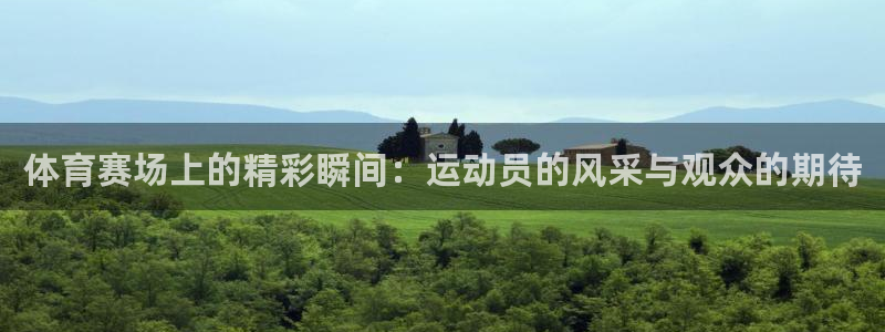 体育赛场上的精彩瞬间：运动员的风采与观众的期待