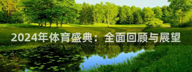 2024年体育盛典：全面回顾与展望
