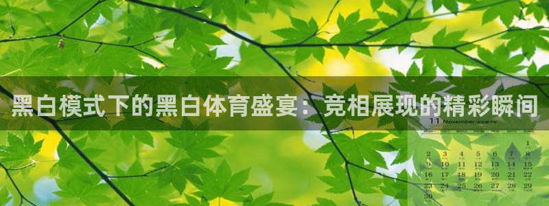 黑白模式下的黑白体育盛宴：竞相展现的精彩瞬间