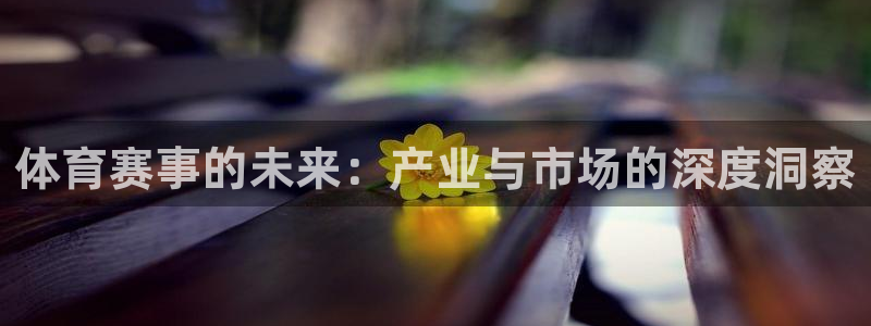 体育赛事的未来：产业与市场的深度洞察