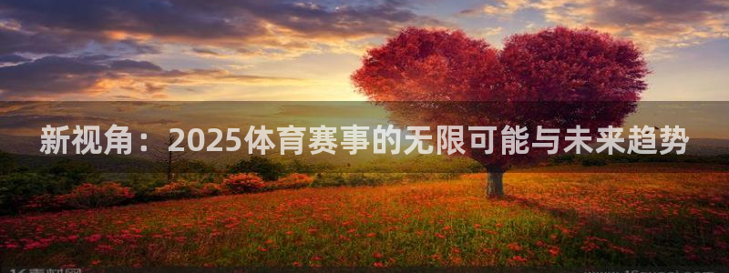 新视角：2025体育赛事的无限可能与未来趋势
