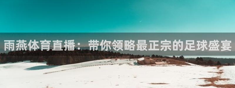 雨燕体育直播：带你领略最正宗的足球盛宴