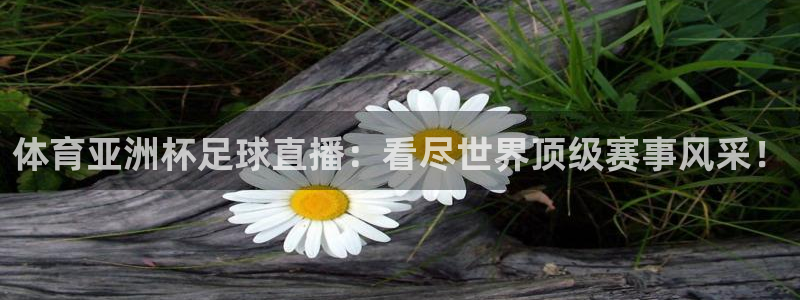 体育亚洲杯足球直播：看尽世界顶级赛事风采！