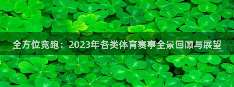 全方位竞跑：2023年各类体育赛事全景回顾与展望