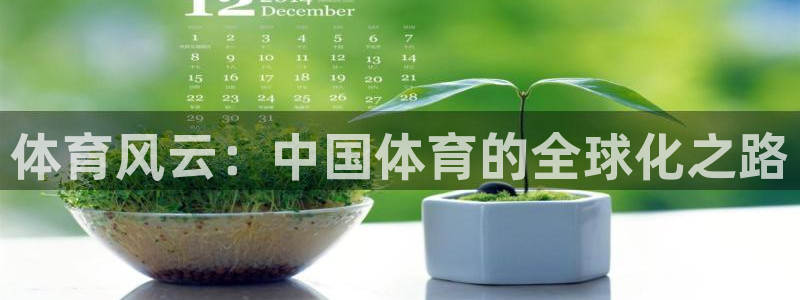 体育风云：中国体育的全球化之路