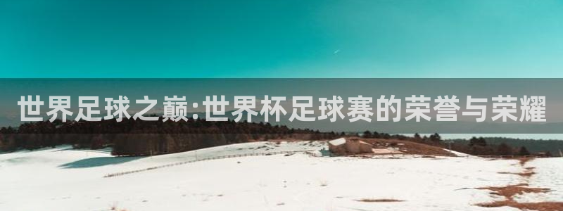 世界足球之巅:世界杯足球赛的荣誉与荣耀