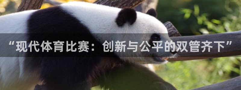 “现代体育比赛：创新与公平的双管齐下”