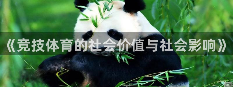 《竞技体育的社会价值与社会影响》