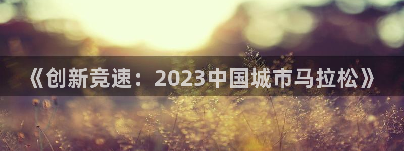 《创新竞速：2023中国城市马拉松》