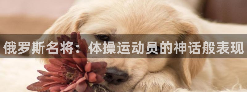 俄罗斯名将：体操运动员的神话般表现