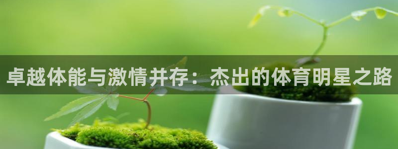 卓越体能与激情并存：杰出的体育明星之路