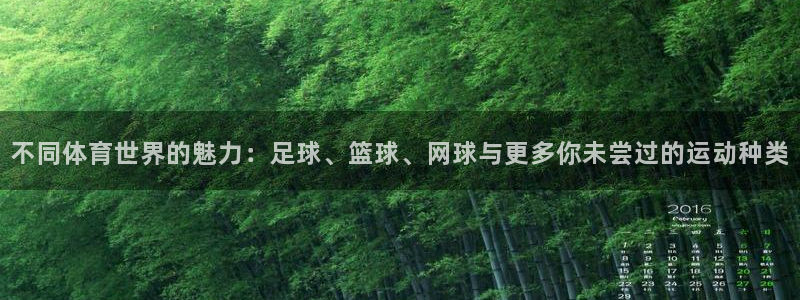 不同体育世界的魅力：足球、篮球、网球与更多你未尝过的运动种类