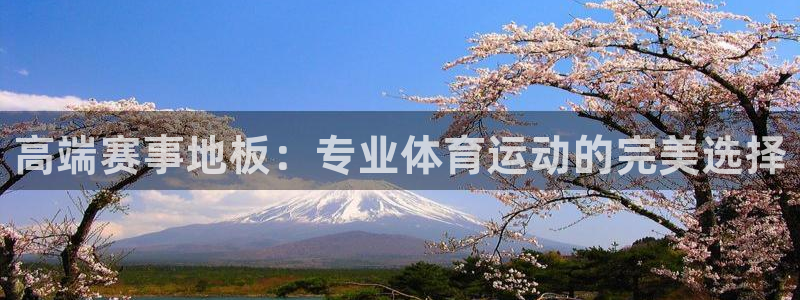 高端赛事地板：专业体育运动的完美选择