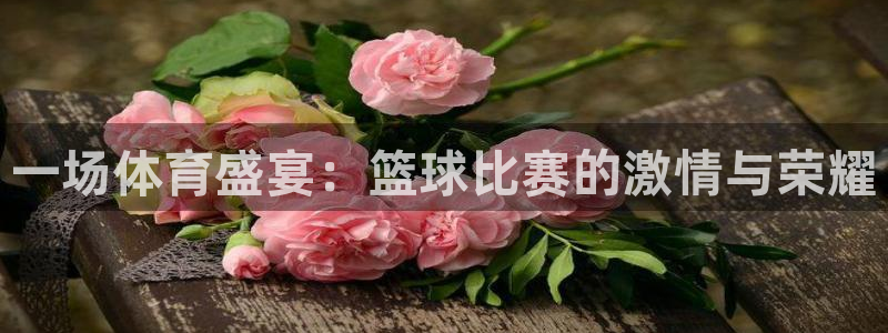 一场体育盛宴：篮球比赛的激情与荣耀