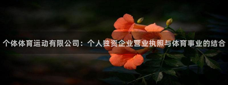 个体体育运动有限公司：个人独资企业营业执照与体育事业的结合