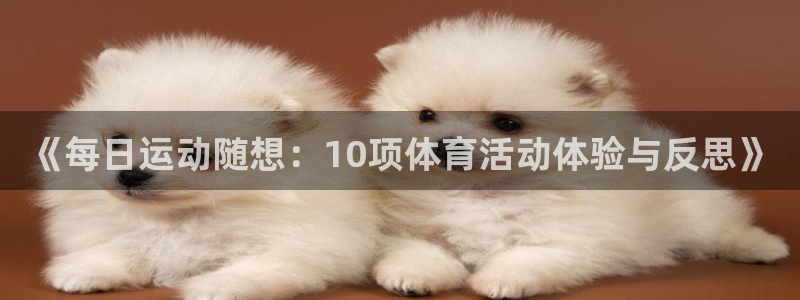 《每日运动随想：10项体育活动体验与反思》