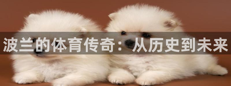 波兰的体育传奇：从历史到未来