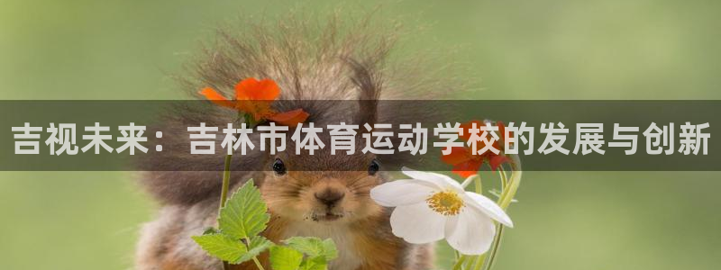 吉视未来：吉林市体育运动学校的发展与创新
