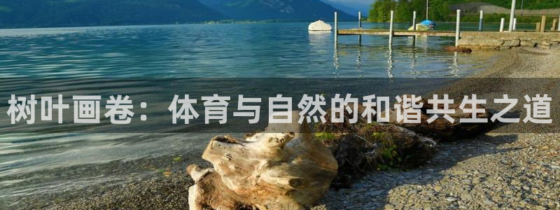 树叶画卷：体育与自然的和谐共生之道
