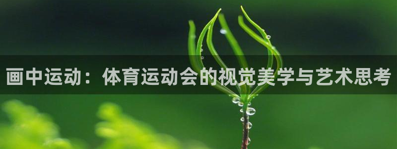 画中运动：体育运动会的视觉美学与艺术思考
