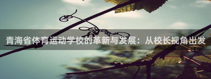 青海省体育运动学校的革新与发展：从校长视角出发