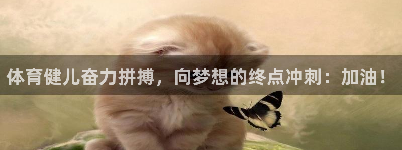 体育健儿奋力拼搏，向梦想的终点冲刺：加油！