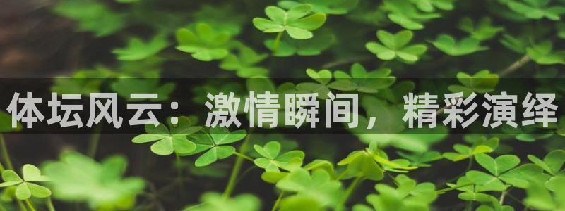 体坛风云：激情瞬间，精彩演绎