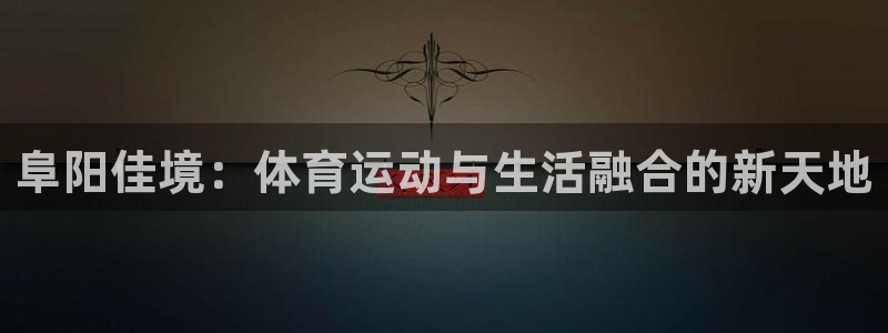 阜阳佳境：体育运动与生活融合的新天地