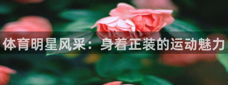 体育明星风采：身着正装的运动魅力