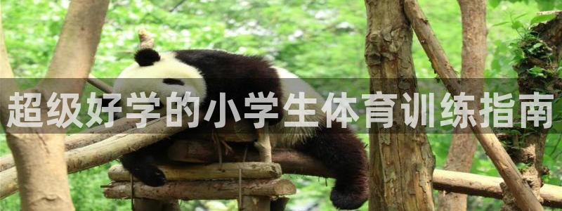 超级好学的小学生体育训练指南