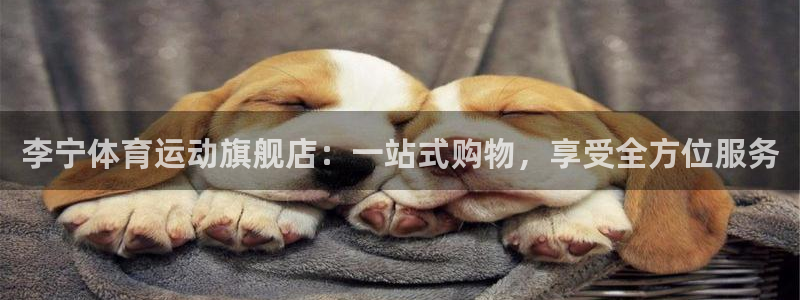 李宁体育运动旗舰店：一站式购物，享受全方位服务