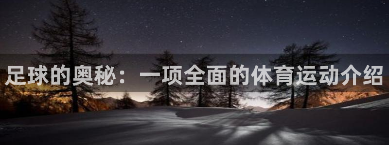 足球的奥秘：一项全面的体育运动介绍