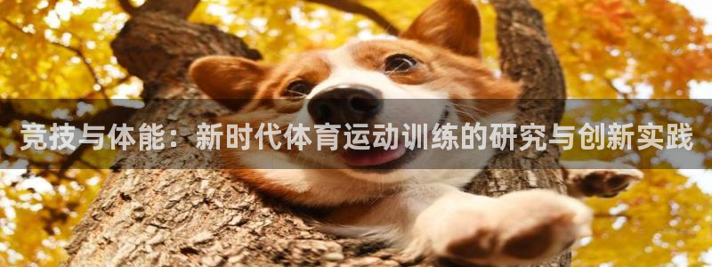 竞技与体能：新时代体育运动训练的研究与创新实践