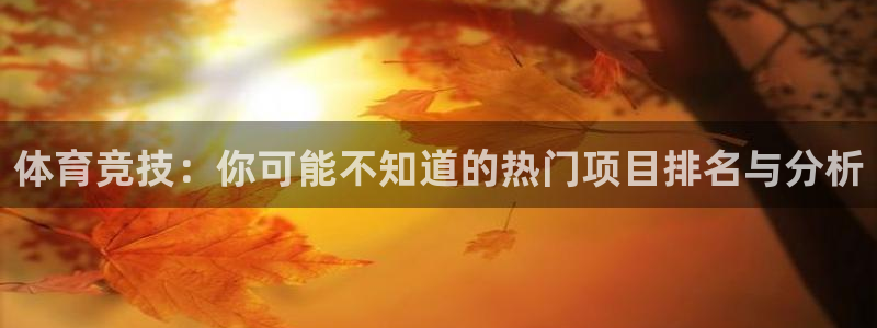 体育竞技：你可能不知道的热门项目排名与分析