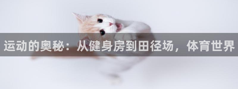运动的奥秘：从健身房到田径场，体育世界