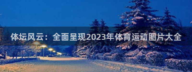 体坛风云：全面呈现2023年体育运动图片大全