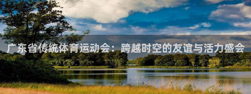 广东省传统体育运动会：跨越时空的友谊与活力盛会