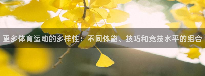 更多体育运动的多样性：不同体能、技巧和竞技水平的组合