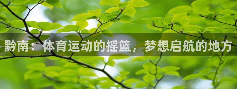 黔南：体育运动的摇篮，梦想启航的地方