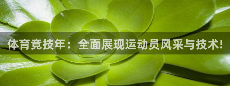 体育竞技年：全面展现运动员风采与技术!