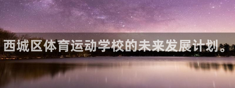 西城区体育运动学校的未来发展计划。