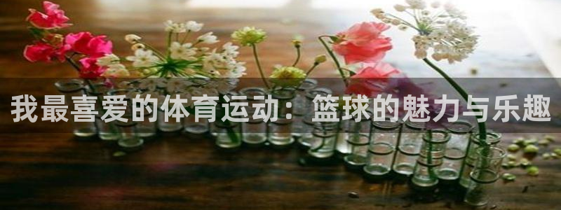 我最喜爱的体育运动：篮球的魅力与乐趣