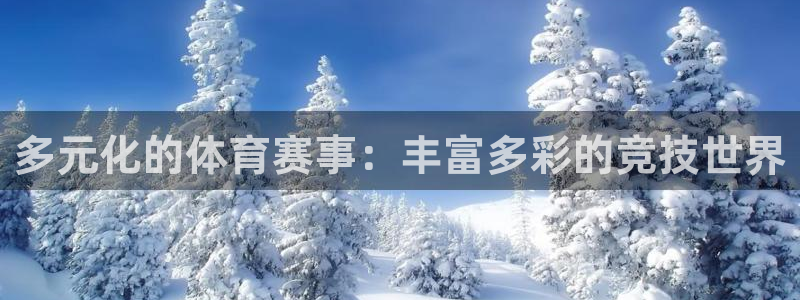 多元化的体育赛事：丰富多彩的竞技世界