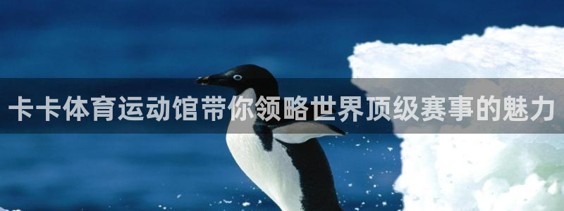 卡卡体育运动馆带你领略世界顶级赛事的魅力