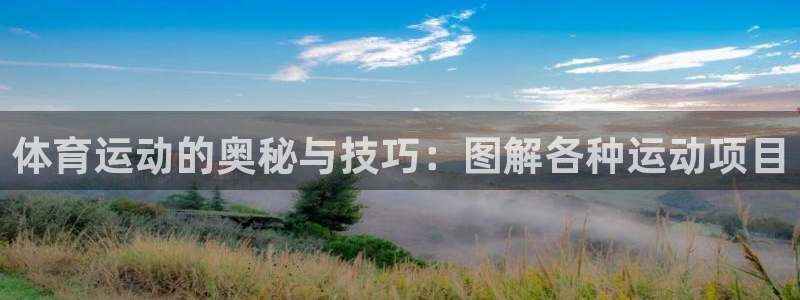 体育运动的奥秘与技巧：图解各种运动项目
