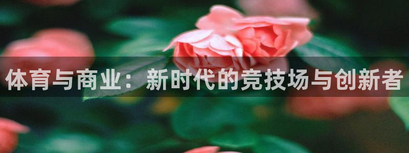 体育与商业：新时代的竞技场与创新者