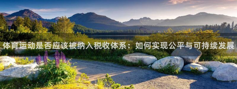 体育运动是否应该被纳入税收体系：如何实现公平与可持续发展
